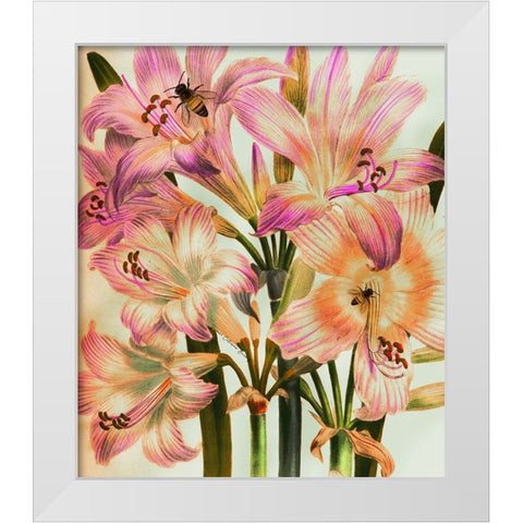 Morning Glory White Modern Wood Framed Art Print by Burney, Yvonne Coleman