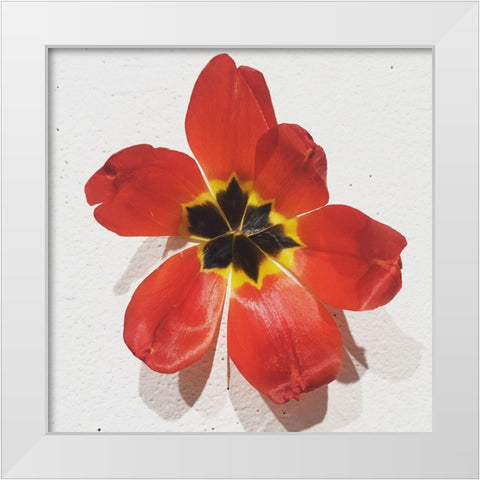 Red White Modern Wood Framed Art Print by Yellow Cafe