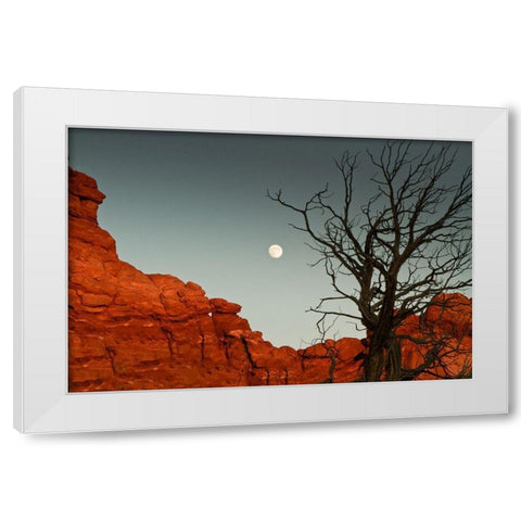 Full Moon White Modern Wood Framed Art Print by Yellow Cafe