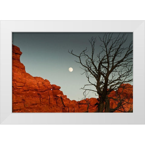 Full Moon White Modern Wood Framed Art Print by Yellow Cafe
