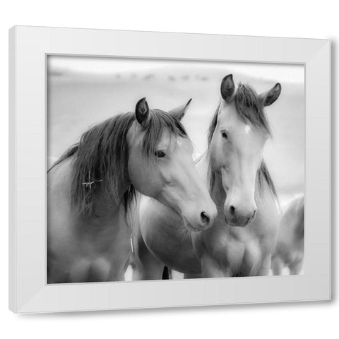 Horse Friends White Modern Wood Framed Art Print by Yellow Cafe