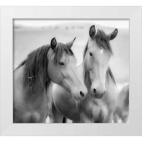 Horse Friends White Modern Wood Framed Art Print by Yellow Cafe