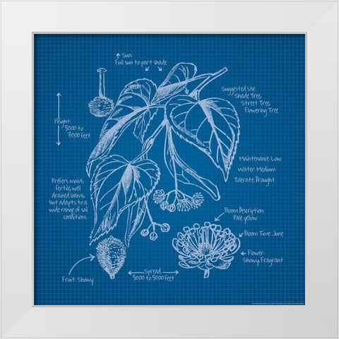 Blueprints II White Modern Wood Framed Art Print by Yellow Cafe