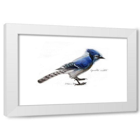 Blue Jay White Modern Wood Framed Art Print by Yellow Cafe