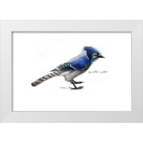 Blue Jay White Modern Wood Framed Art Print by Yellow Cafe