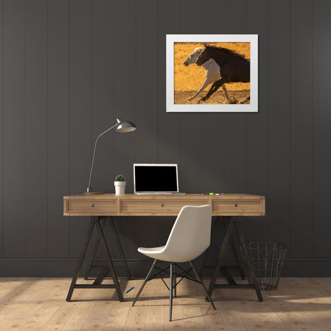 Horse Race White Modern Wood Framed Art Print by Yellow Cafe