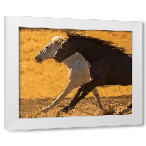 Horse Race White Modern Wood Framed Art Print by Yellow Cafe