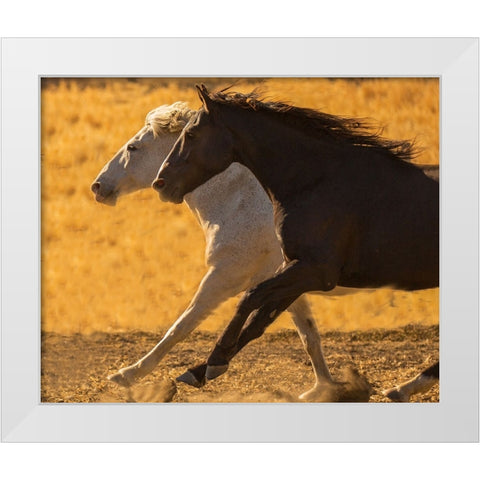 Horse Race White Modern Wood Framed Art Print by Yellow Cafe