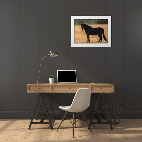 Black Beauty White Modern Wood Framed Art Print by Yellow Cafe