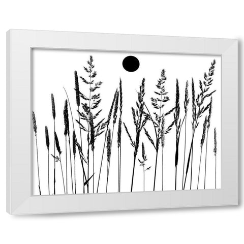 Grassy Moon II White Modern Wood Framed Art Print by Sommers, Mindy
