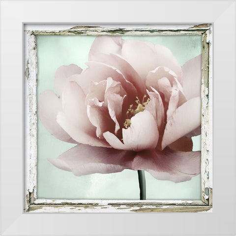 Garden and Mint I White Modern Wood Framed Art Print by Sommers, Mindy