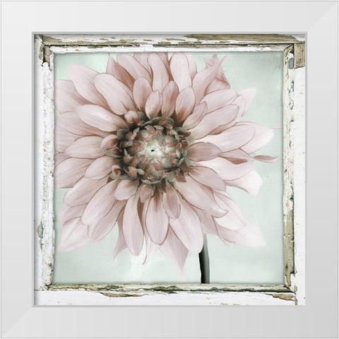 Garden and Mint II White Modern Wood Framed Art Print by Sommers, Mindy