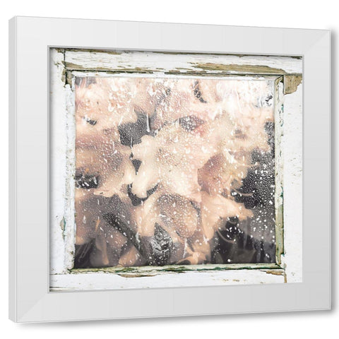 Antique Pink White Modern Wood Framed Art Print by Sommers, Mindy