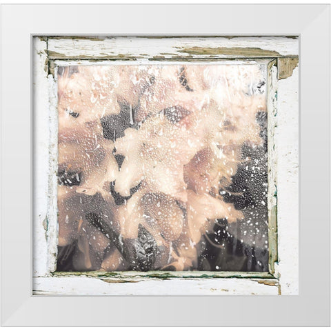 Antique Pink White Modern Wood Framed Art Print by Sommers, Mindy