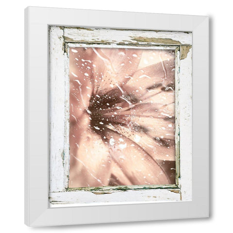 Antique Pink II White Modern Wood Framed Art Print by Sommers, Mindy