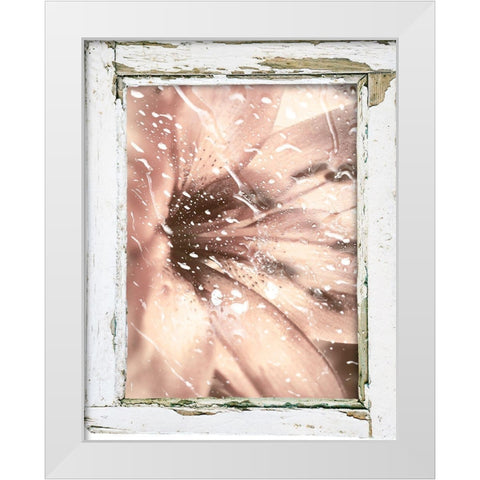 Antique Pink II White Modern Wood Framed Art Print by Sommers, Mindy