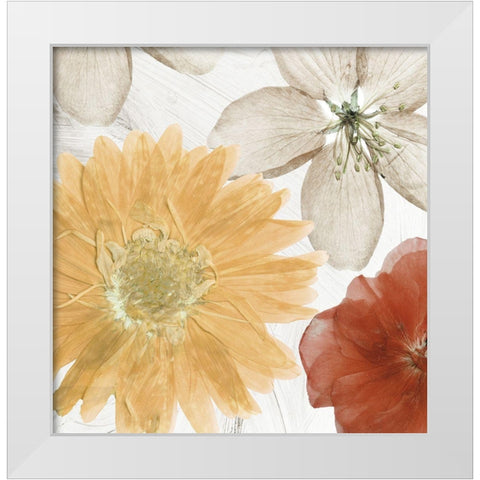 Cottage Refrain II White Modern Wood Framed Art Print by Sommers, Mindy