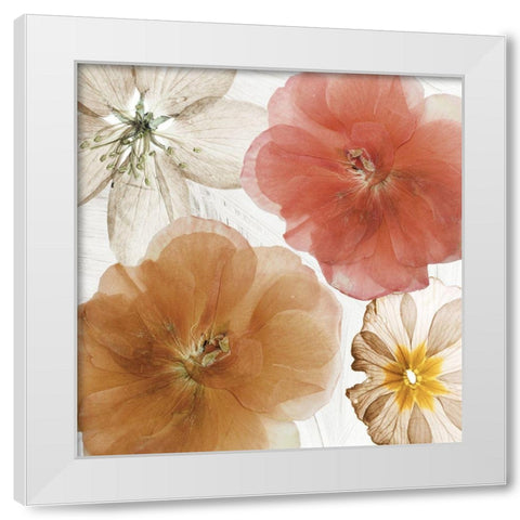 Cottage Refrain I White Modern Wood Framed Art Print by Sommers, Mindy