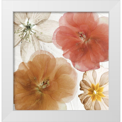 Cottage Refrain I White Modern Wood Framed Art Print by Sommers, Mindy