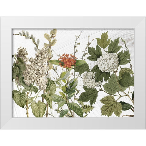 All Dressed Up II White Modern Wood Framed Art Print by Sommers, Mindy