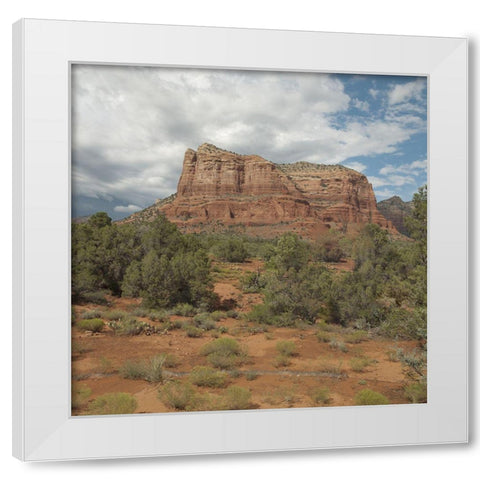 American Southwest White Modern Wood Framed Art Print by Sommers, Mindy