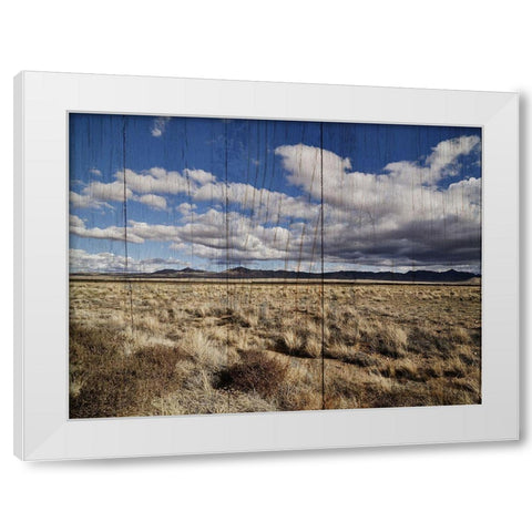 America the Beautiful White Modern Wood Framed Art Print by Sommers, Mindy