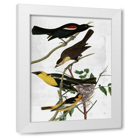 Birds White Modern Wood Framed Art Print by Sommers, Mindy