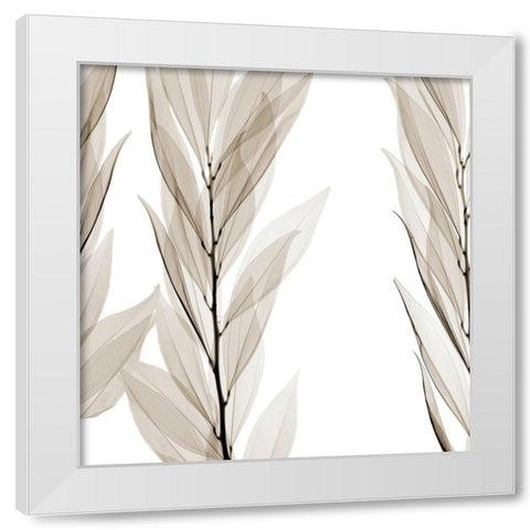 Natural Emotions White Modern Wood Framed Art Print by Sommers, Mindy