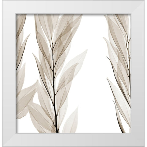 Natural Emotions White Modern Wood Framed Art Print by Sommers, Mindy