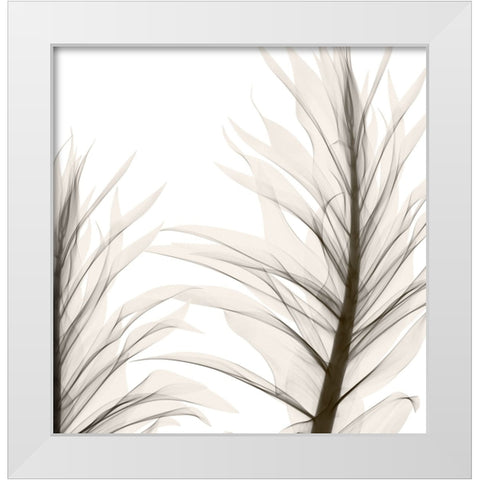 Natural Emotions II White Modern Wood Framed Art Print by Sommers, Mindy