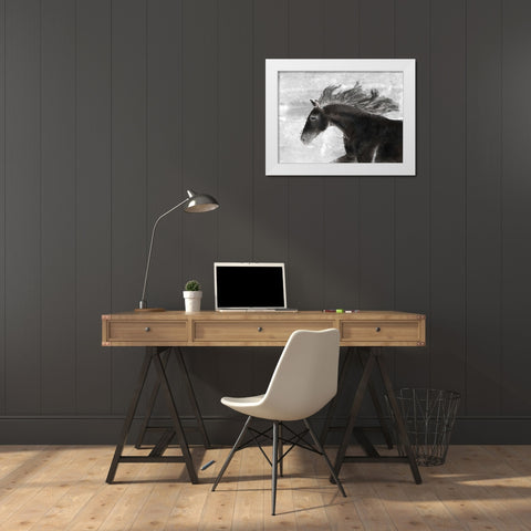 Black Horse White Modern Wood Framed Art Print by Sommers, Mindy