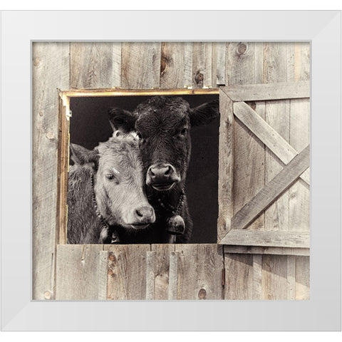 Best Friends White Modern Wood Framed Art Print by Sommers, Mindy