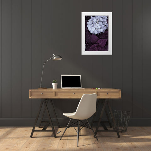 Impossible Hydrangea White Modern Wood Framed Art Print by Sommers, Mindy