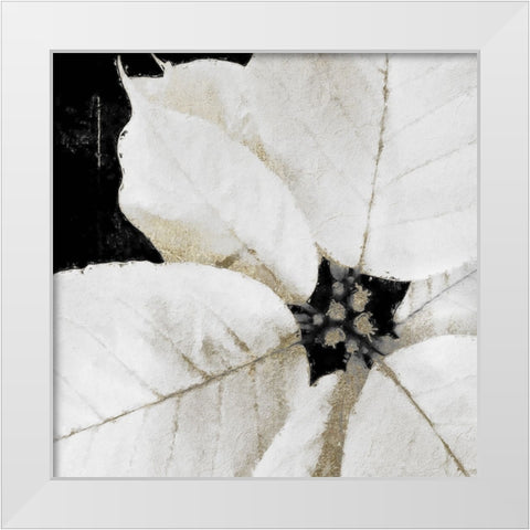 White Poinsettia White Modern Wood Framed Art Print by Sommers, Mindy
