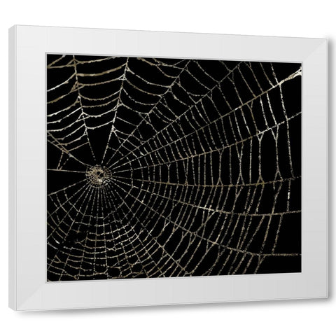 Spider Web White Modern Wood Framed Art Print by Sommers, Mindy
