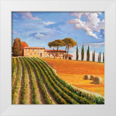 Colline toscane White Modern Wood Framed Art Print by Galasso, Adriano