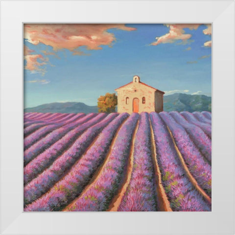 Campi di lavanda White Modern Wood Framed Art Print by Galasso, Adriano