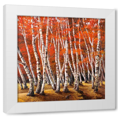 Bosco di betulle I White Modern Wood Framed Art Print by Galasso, Adriano