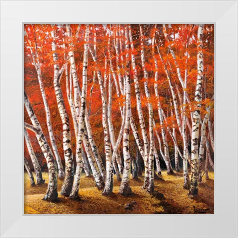 Bosco di betulle I White Modern Wood Framed Art Print by Galasso, Adriano