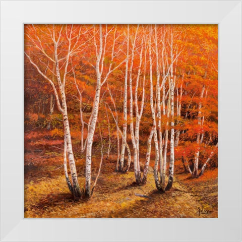 Bosco di betulle II White Modern Wood Framed Art Print by Galasso, Adriano