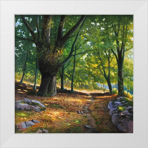 Luce nel bosco White Modern Wood Framed Art Print by Galasso, Adriano