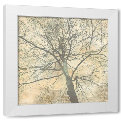 Below My Tree II (detail) White Modern Wood Framed Art Print by Aprile, Alessio
