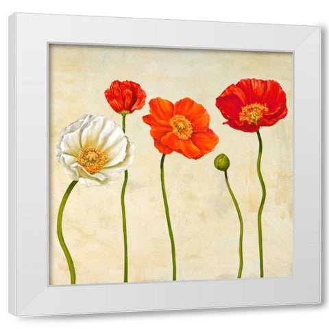 Coquelicots White Modern Wood Framed Art Print by Ann, Cynthia