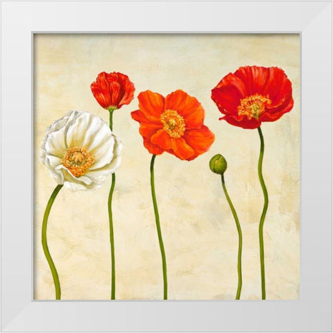 Coquelicots White Modern Wood Framed Art Print by Ann, Cynthia
