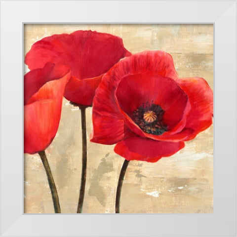 Red Poppies White Modern Wood Framed Art Print by Ann, Cynthia