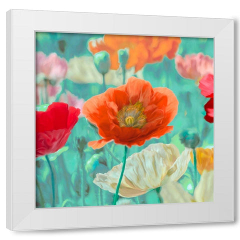 Poppies in Bloom I White Modern Wood Framed Art Print by Cynthia, Ann