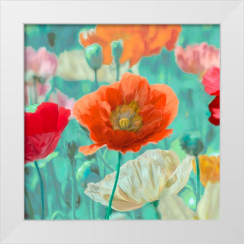 Poppies in Bloom I White Modern Wood Framed Art Print by Cynthia, Ann