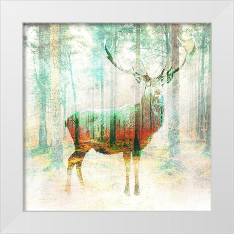 Lord of the Woods (detail) White Modern Wood Framed Art Print by Arlo Wren Photos