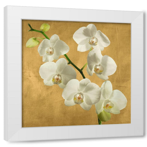 Orchids on a Golden Background I White Modern Wood Framed Art Print by Antinori, Andrea