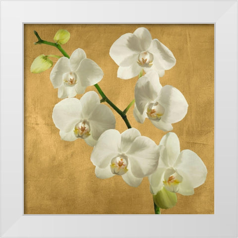 Orchids on a Golden Background I White Modern Wood Framed Art Print by Antinori, Andrea